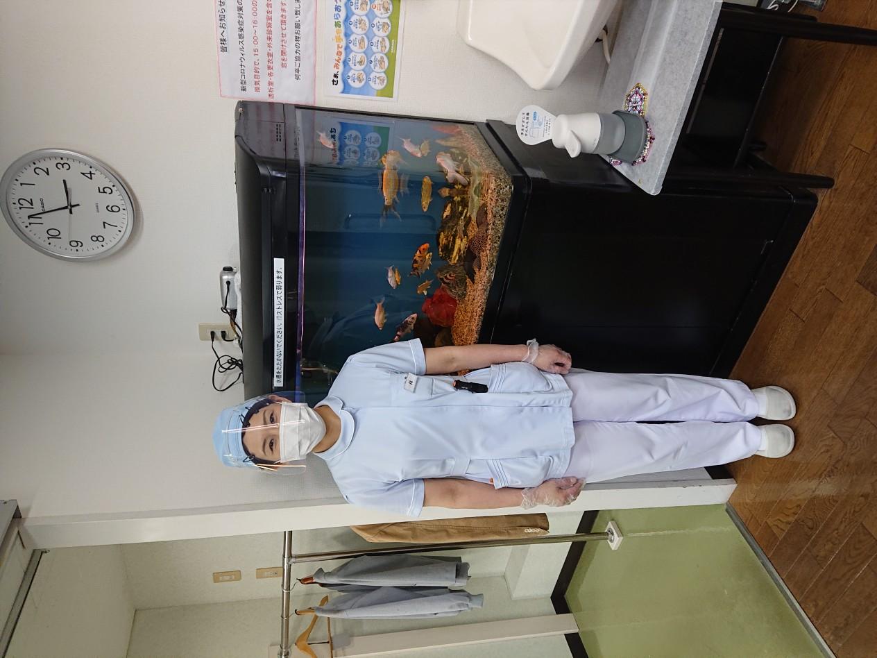 大阪市北区の看護助手 求人 転職のcomo Es コモエス ありのままのあなたが輝く仕事みつかる